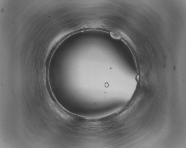 X0000062631035200512211224