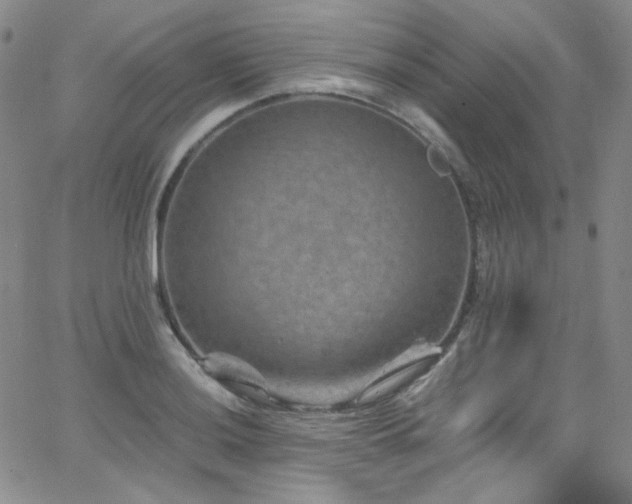 X0000062631036200512211224