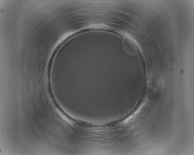 X0000062631037200512211224