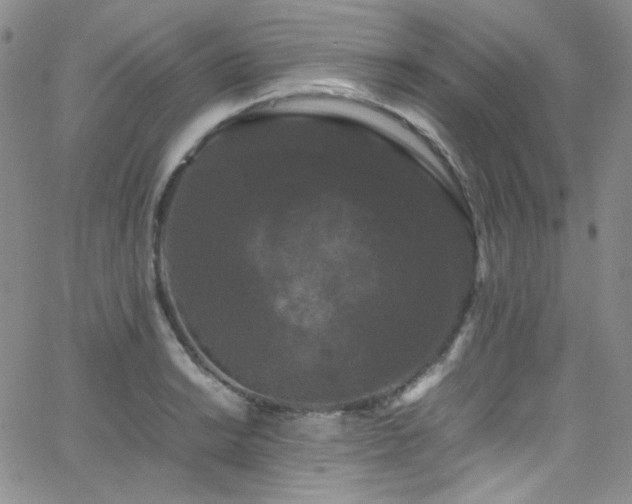 X0000062631038200512211224