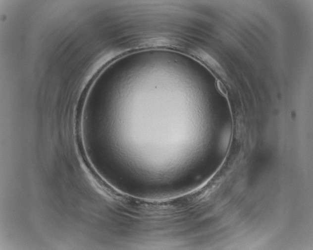 X0000062631039200512211224