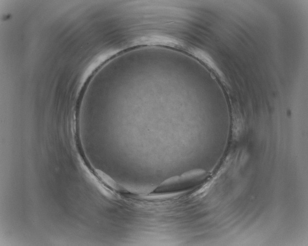 X0000062631040200512211224