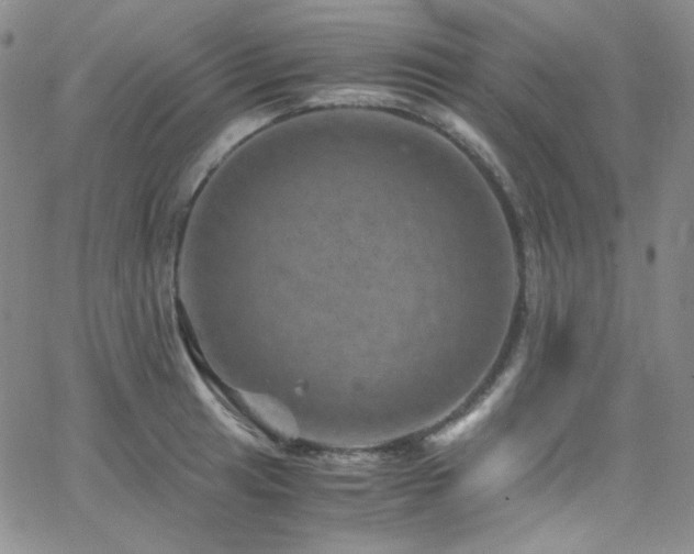 X0000062631041200512211224