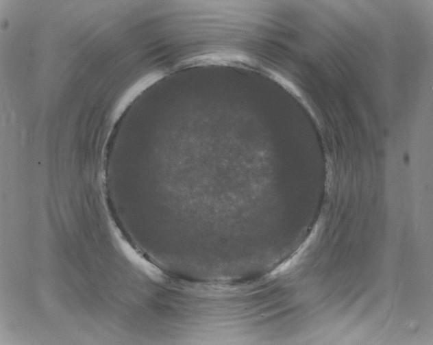 X0000062631042200512211224