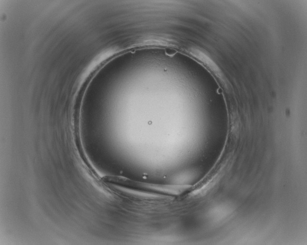 X0000062631043200512211224