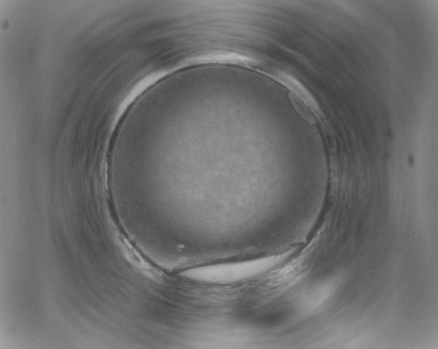 X0000062631044200512211224