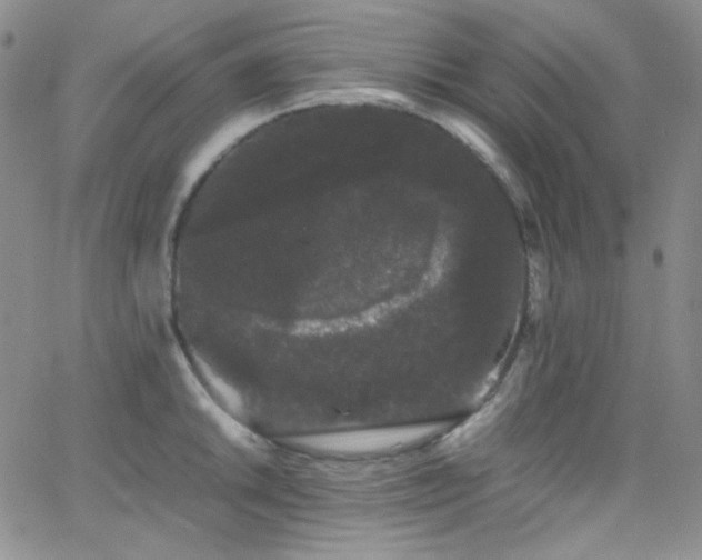 X0000062631046200512211224