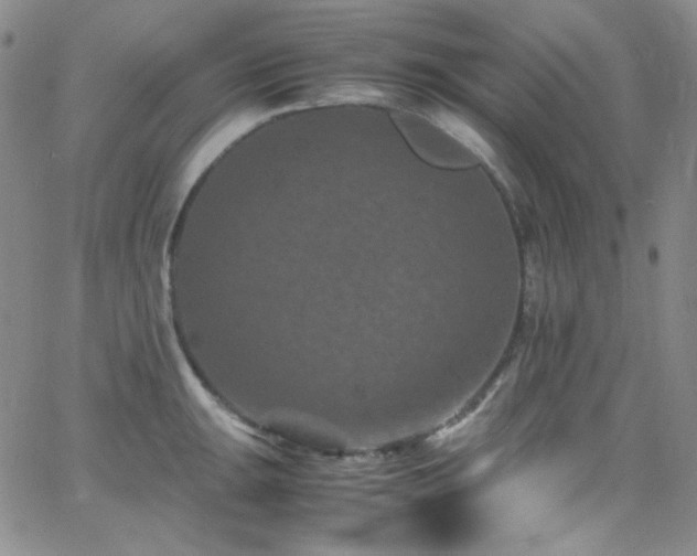 X0000062631047200512211224