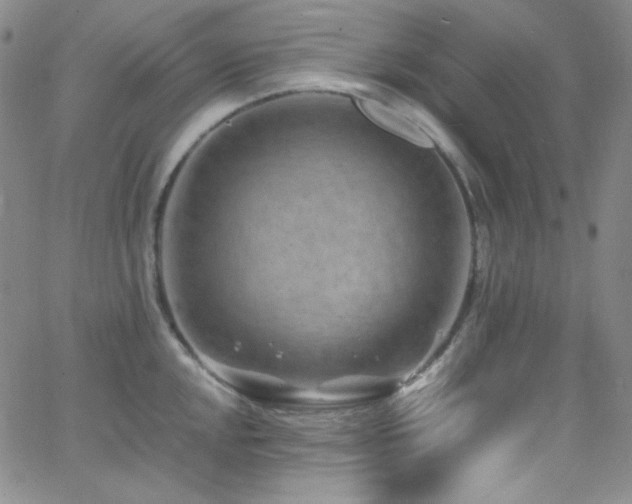 X0000062631048200512211224