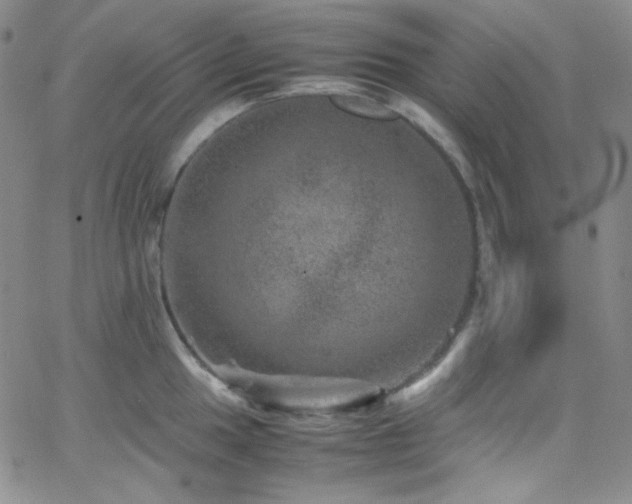 X0000062631049200512211224