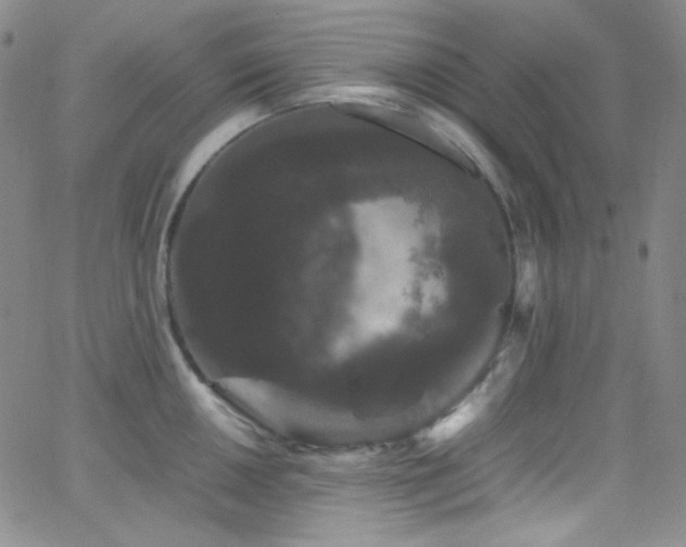 X0000062631050200512211224