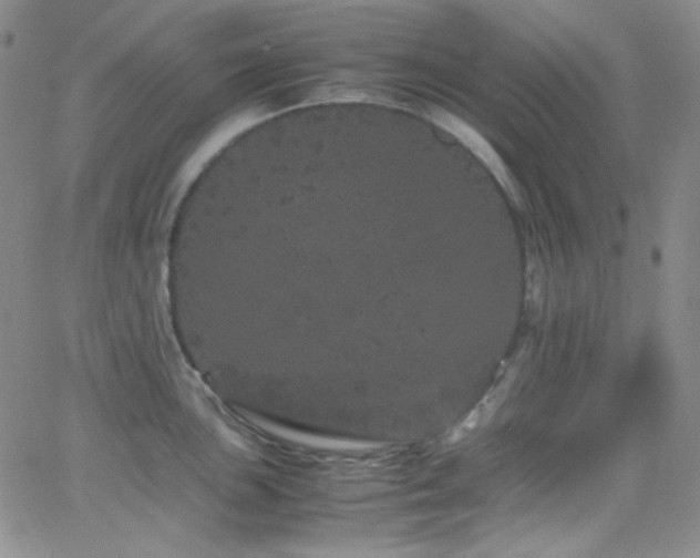 X0000062631051200512211224