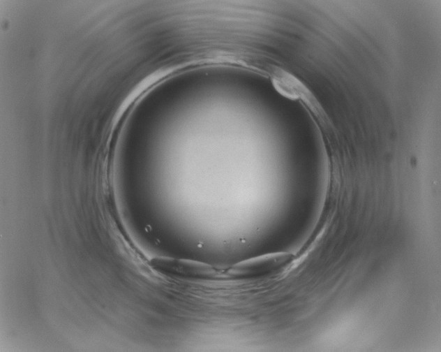 X0000062631052200512211224