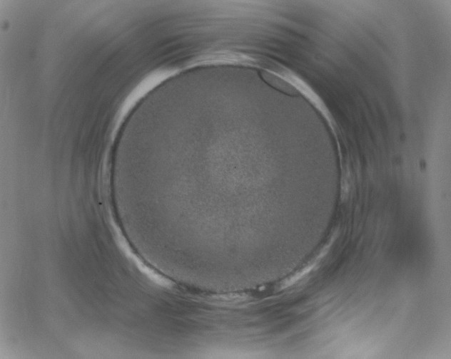 X0000062631053200512211224