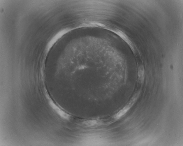 X0000062631054200512211224