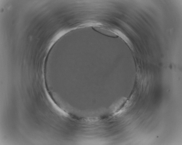 X0000062631055200512211224