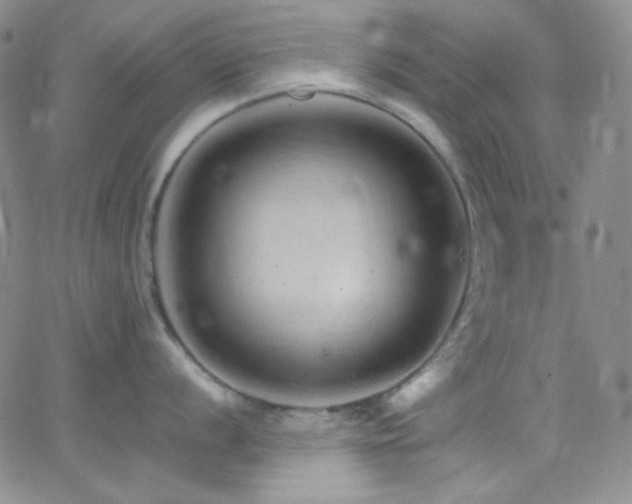 X0000062631056200512211224