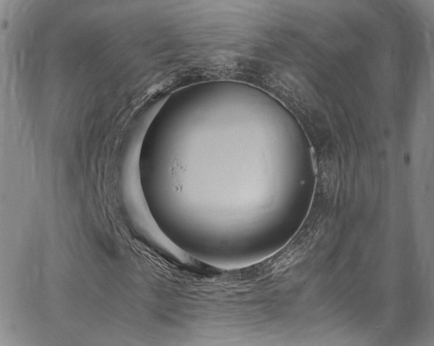 X0000062631057200512211223