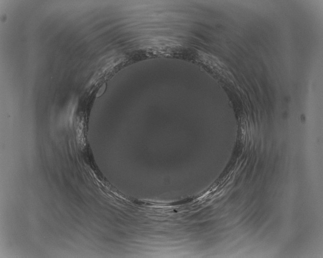 X0000062631060200512211223