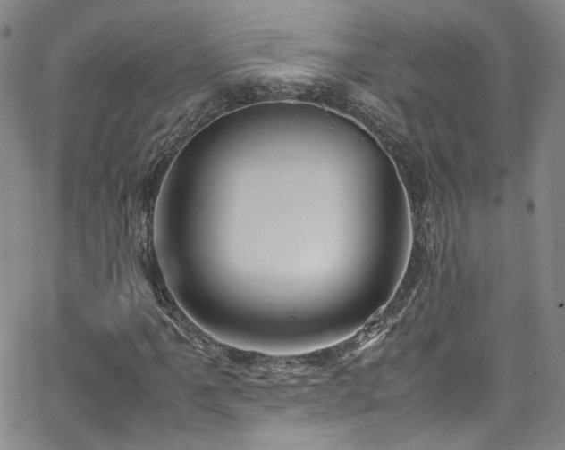 X0000062631061200512211223