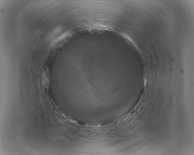 X0000062631063200512211223