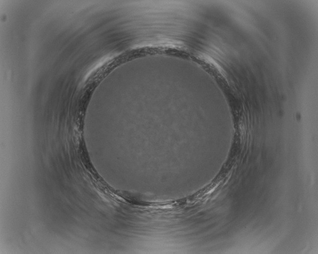 X0000062631064200512211223