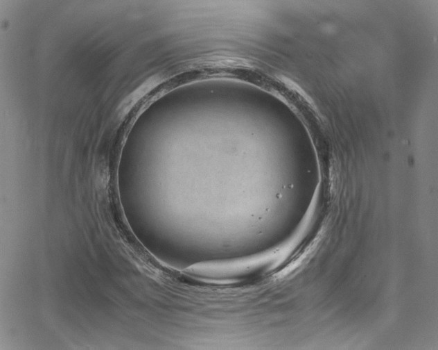 X0000062631065200512211223