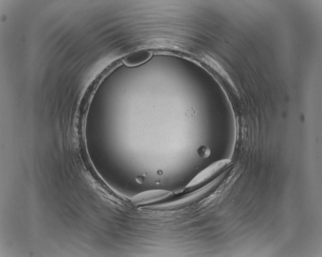 X0000062631068200512211223