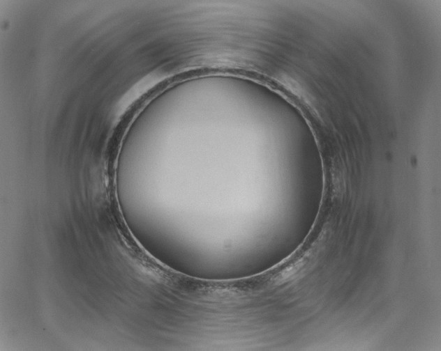 X0000062631070200512211223