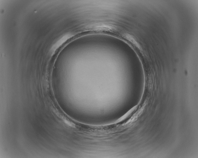 X0000062631071200512211223