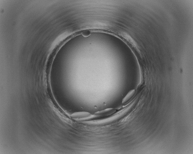 X0000062631072200512211223