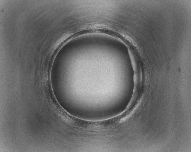 X0000062631073200512211223