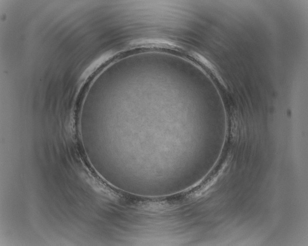 X0000062631074200512211223