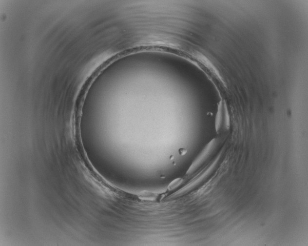 X0000062631076200512211223