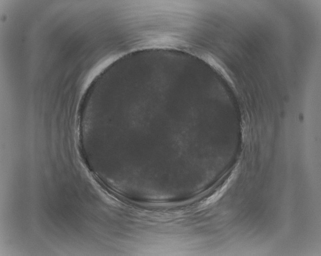 X0000062631077200512211223