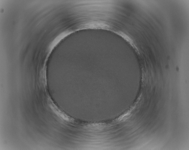 X0000062631078200512211223