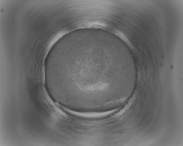 X0000062631079200512211223