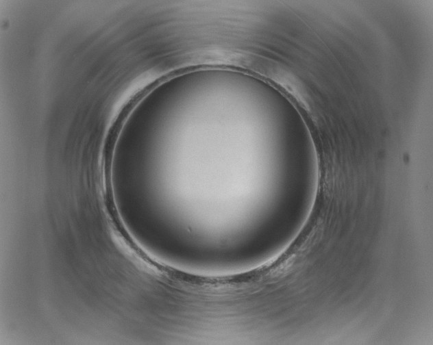 X0000062631080200512211223