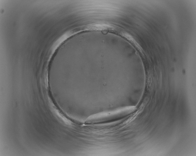 X0000062631083200512211223