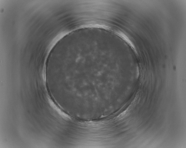 X0000062631084200512211223