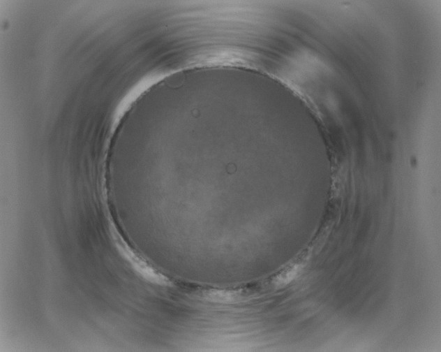 X0000062631086200512211223