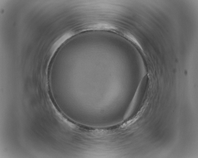 X0000062631087200512211223