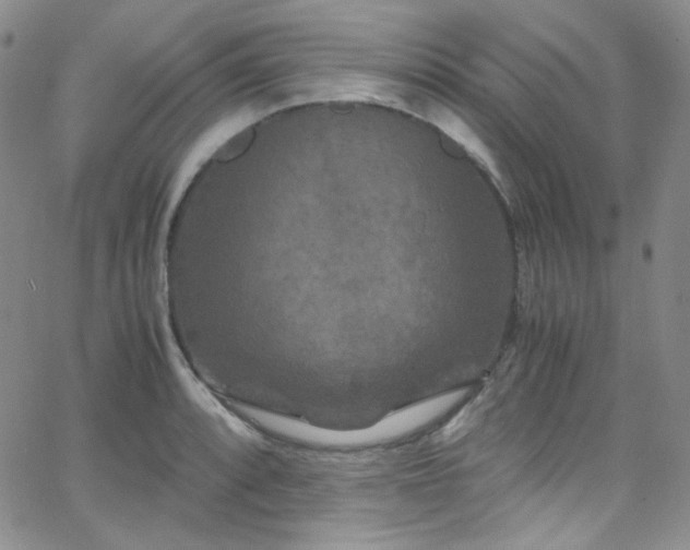 X0000062631088200512211223