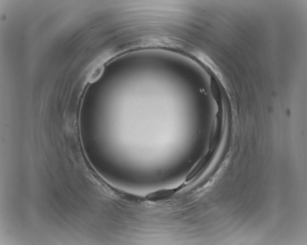 X0000062631089200512211223