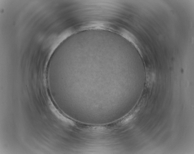 X0000062631090200512211223