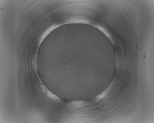 X0000062631094200512211222