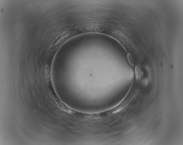 X0000062631107200512211222
