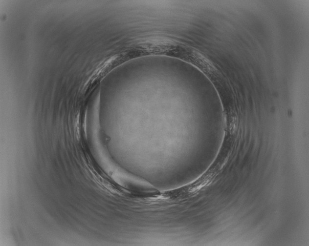 X0000062631108200512211222