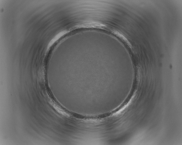 X0000062631114200512211222