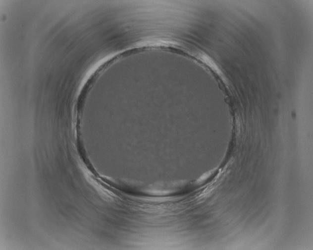 X0000062631124200512211222